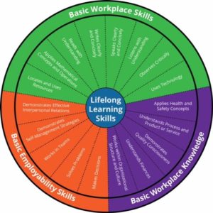 This is an image of the foundations skills framework wheel.